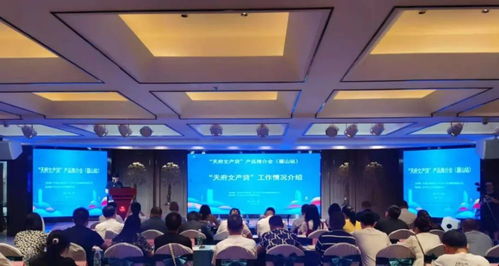 服務中小文化企業(yè)，賦能產(chǎn)業(yè)創(chuàng)新——“天府文產(chǎn)貸”產(chǎn)品推介會眉山站成功舉辦